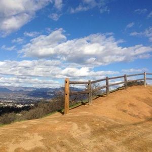 Meet your Posher, Talia